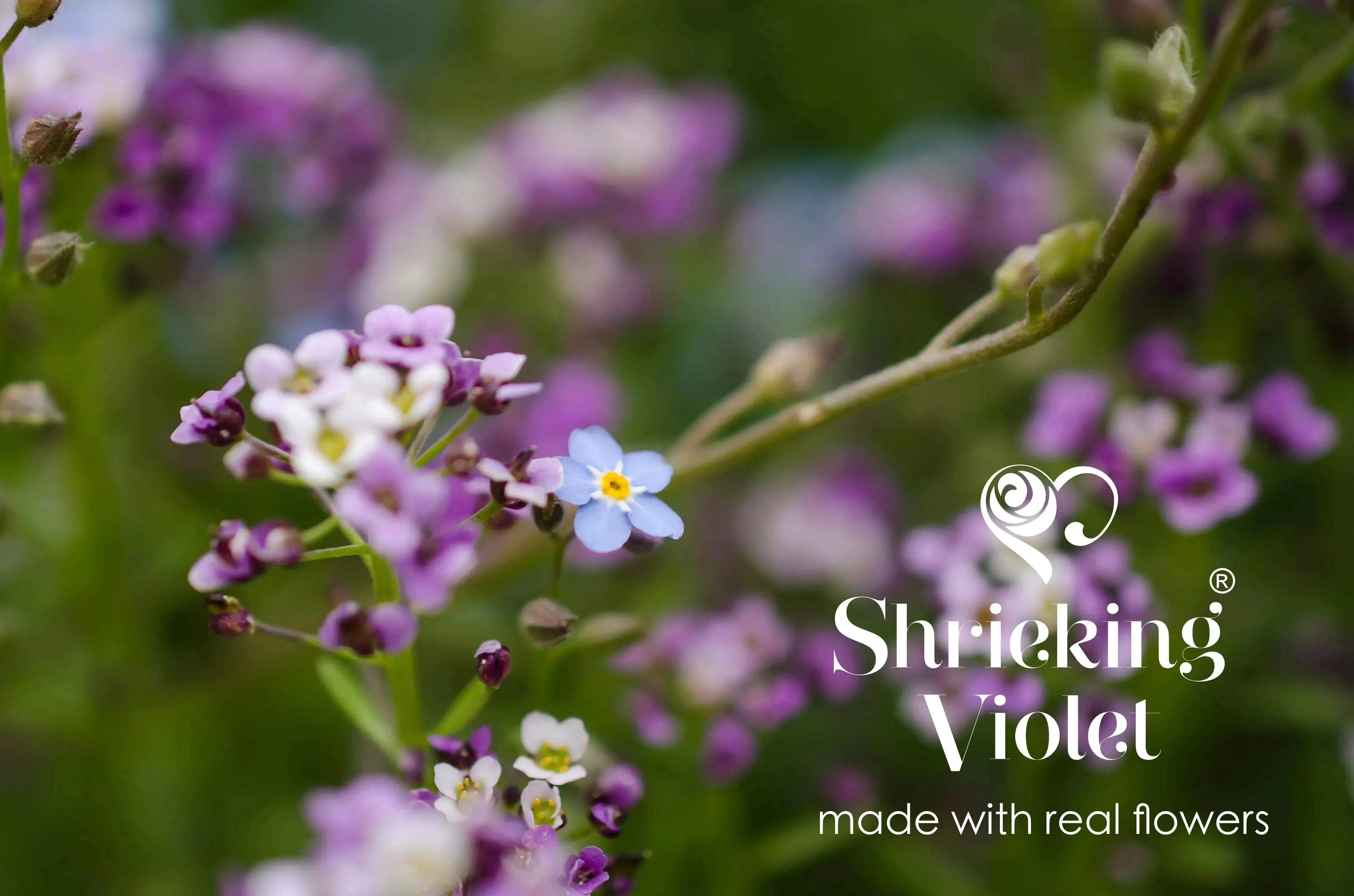 Sterling silver bracelet handmade with real flowers - Ideal gift for mum or nan.